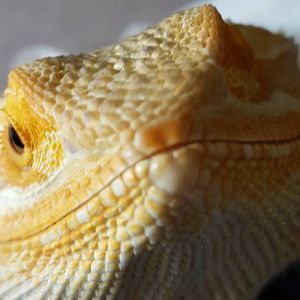 Meet your Posher, Wendy